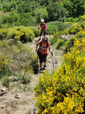 «2024-05-28_ca_grimpe.jpg»