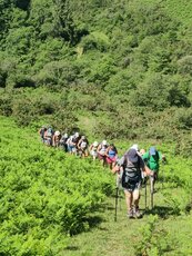 «20250617_111733.jpg»